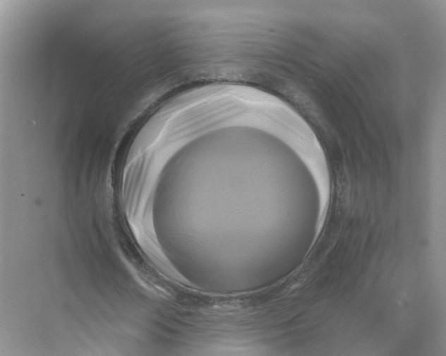 X0000070170674200606162057