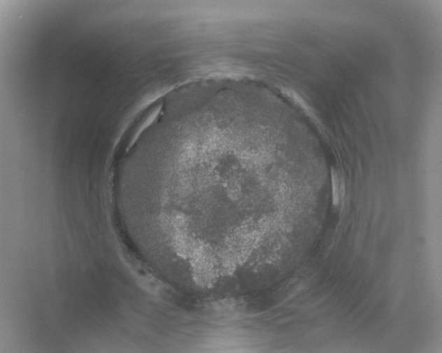 X0000070170675200606162057