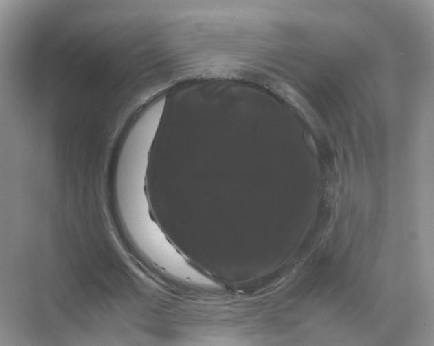 X0000070170677200606162056