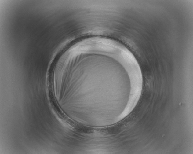 X0000070170678200606162056