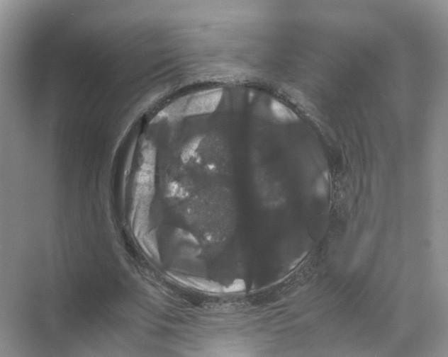 X0000070170679200606162056