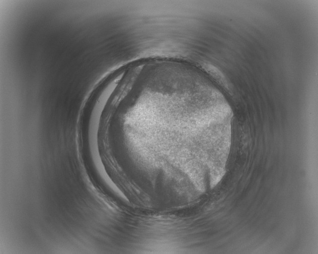 X0000070170680200606162056