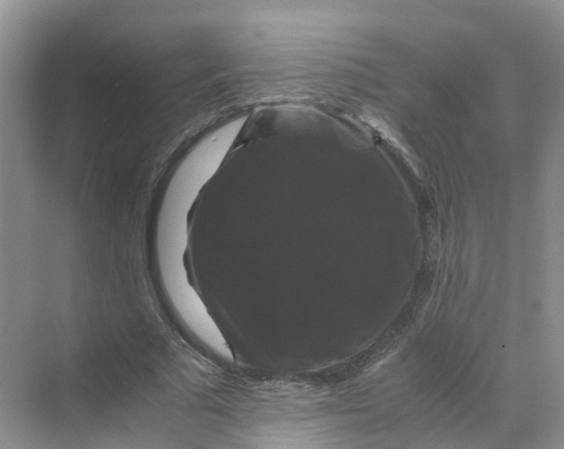 X0000070170681200606162056