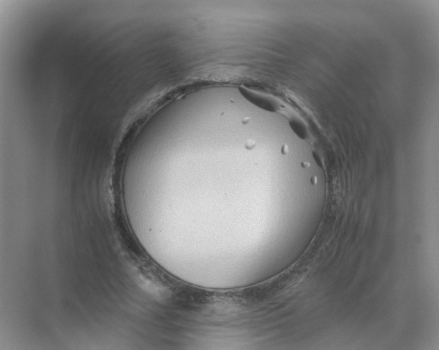 X0000070170682200606162056