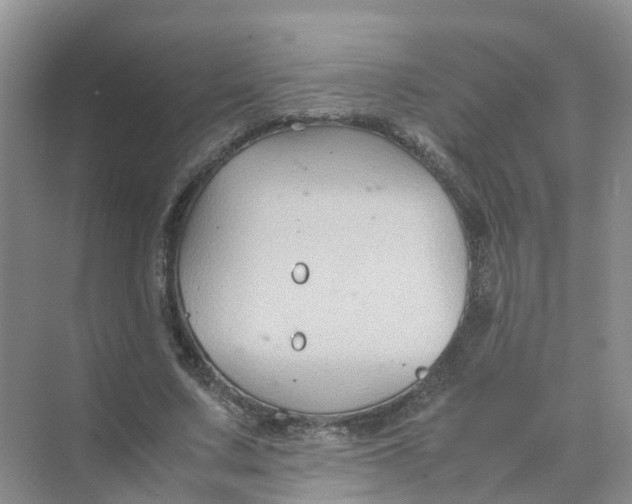 X0000070170683200606162056