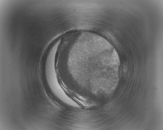 X0000070170684200606162056