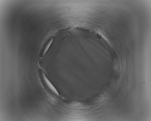 X0000070170685200606162056