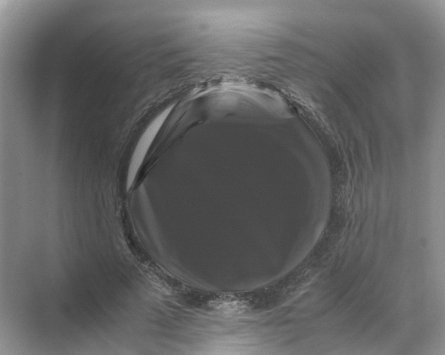 X0000070170689200606162056