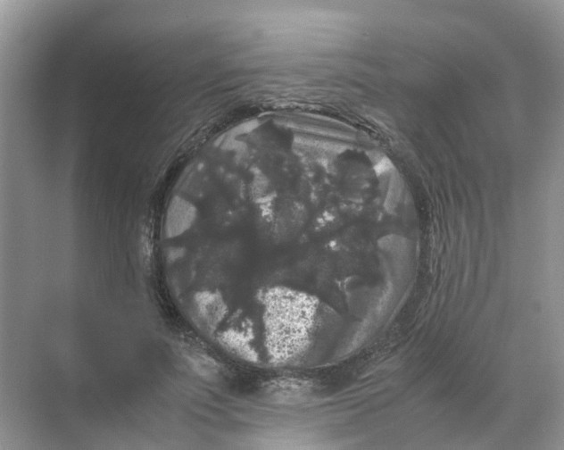 X0000070170691200606162056