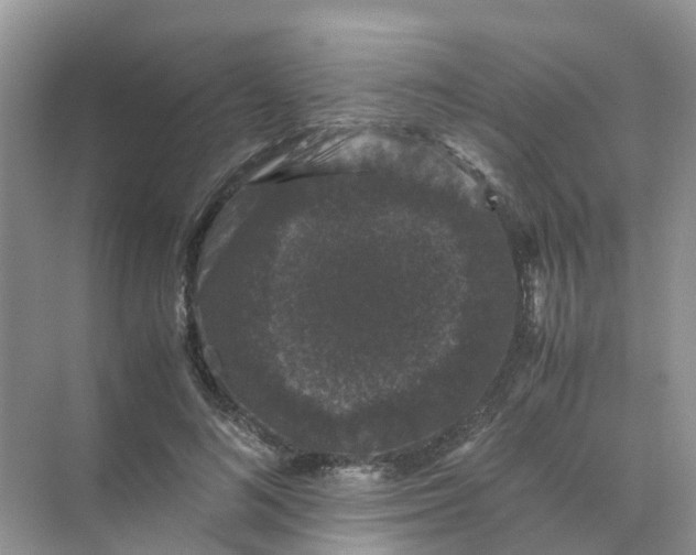 X0000070170692200606162056