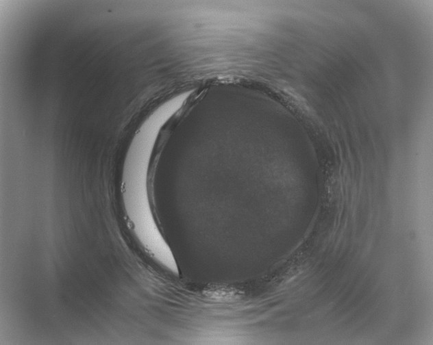 X0000070170693200606162056