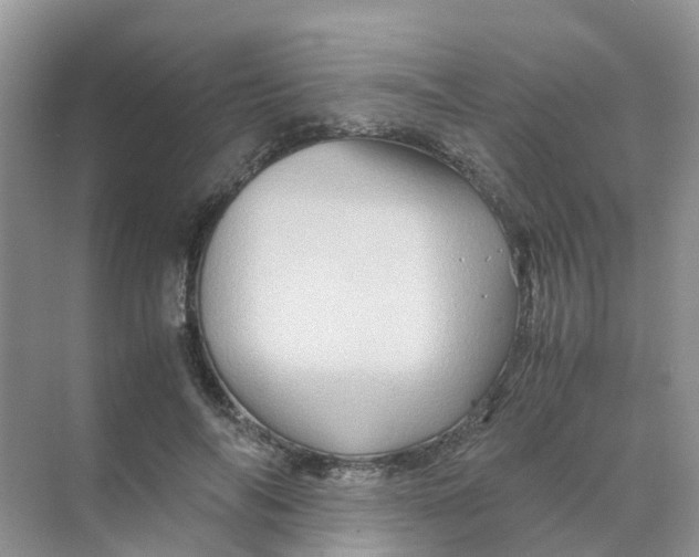 X0000070170694200606162056