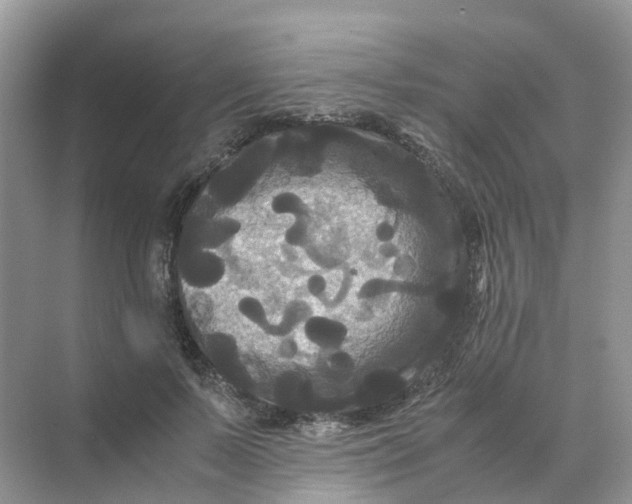 X0000070170695200606162056