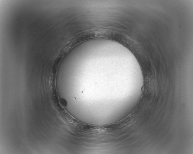 X0000070170698200606162056