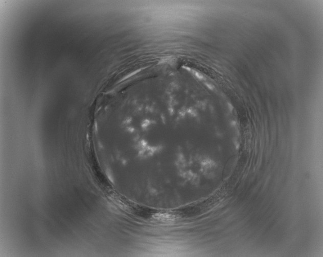 X0000070170699200606162056