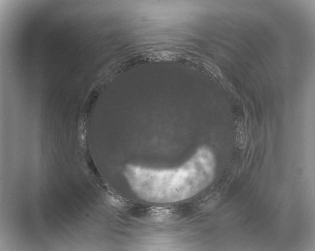 X0000070170701200606162056