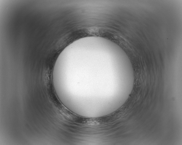 X0000070170702200606162056