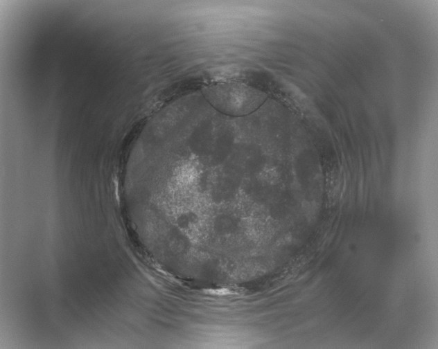 X0000070170703200606162056