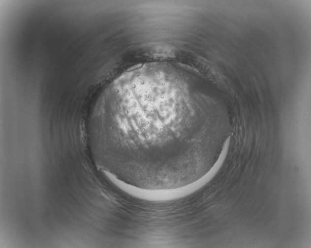 X0000070170704200606162056