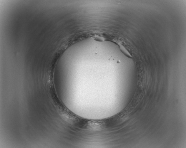 X0000070170706200606162056