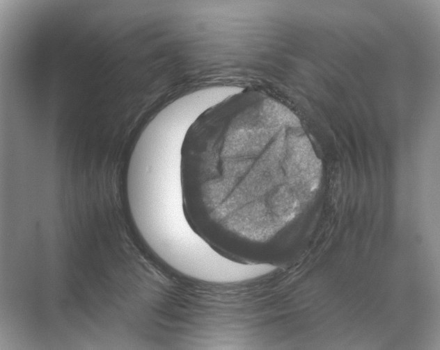 X0000070170708200606162056