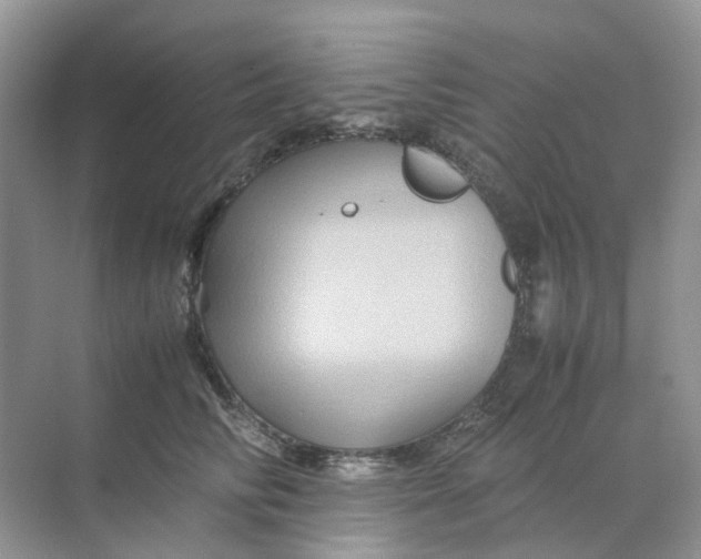 X0000070170710200606162056