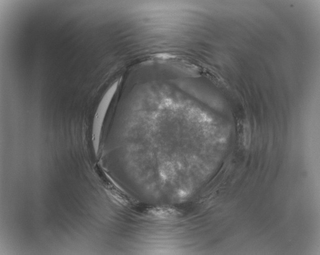 X0000070170712200606162056