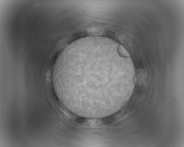 X0000070170713200606162056