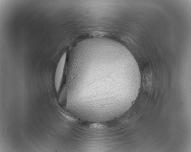 X0000070170714200606162056