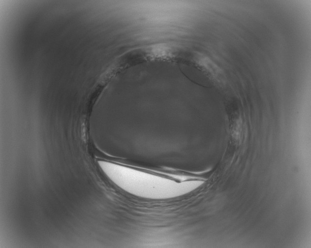 X0000070170715200606162056