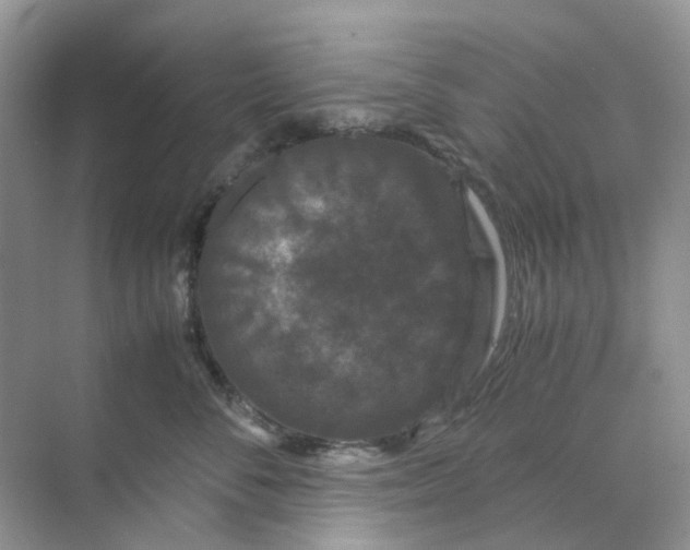 X0000070170716200606162056