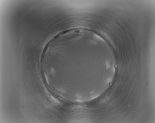 X0000070170721200606162055