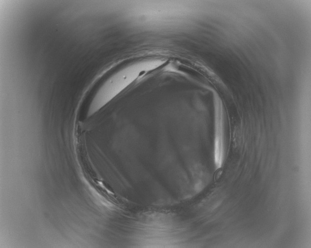 X0000070170722200606162055