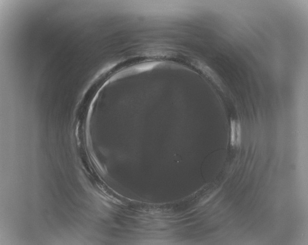 X0000070170723200606162055