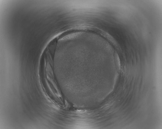 X0000070170724200606162055