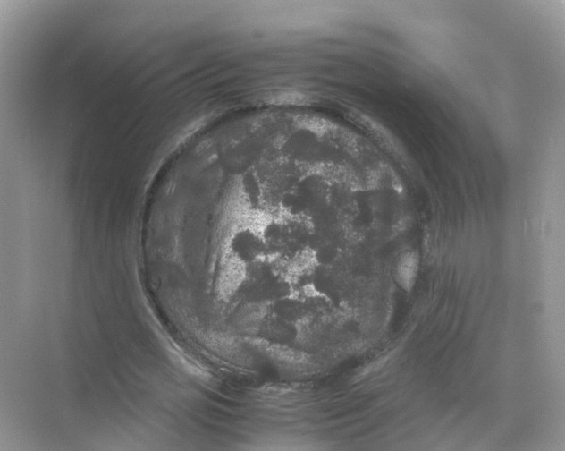 X0000070170725200606162055