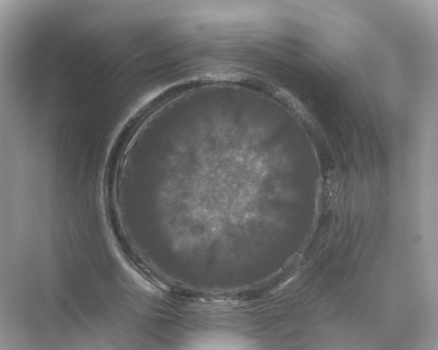 X0000070170726200606162055