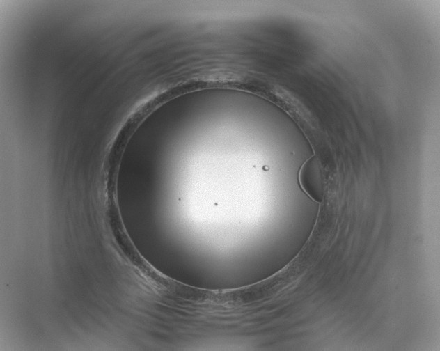 X0000070170727200606162055