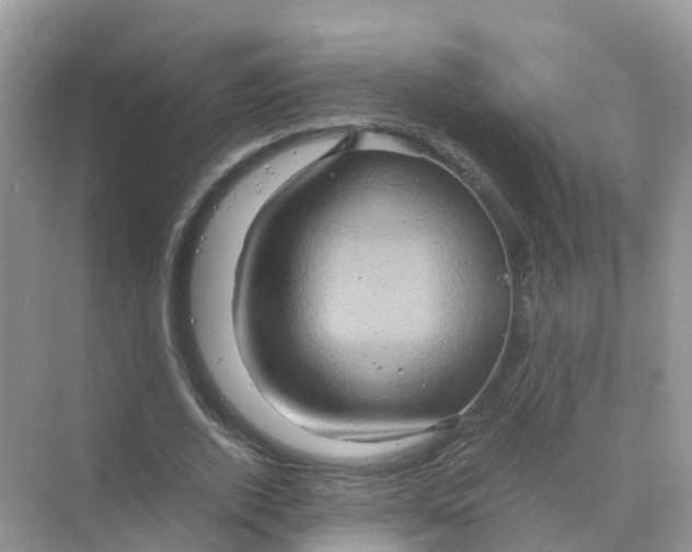 X0000070170728200606162055