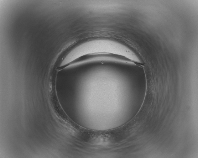 X0000070170731200606162055