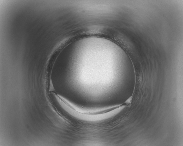 X0000070170732200606162055