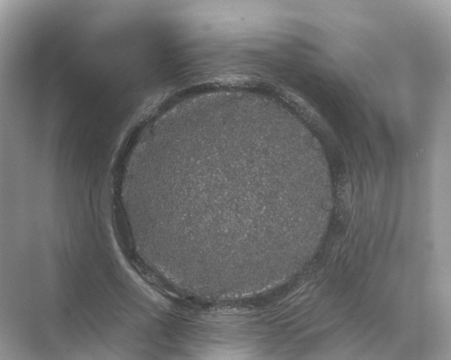 X0000070170734200606162055