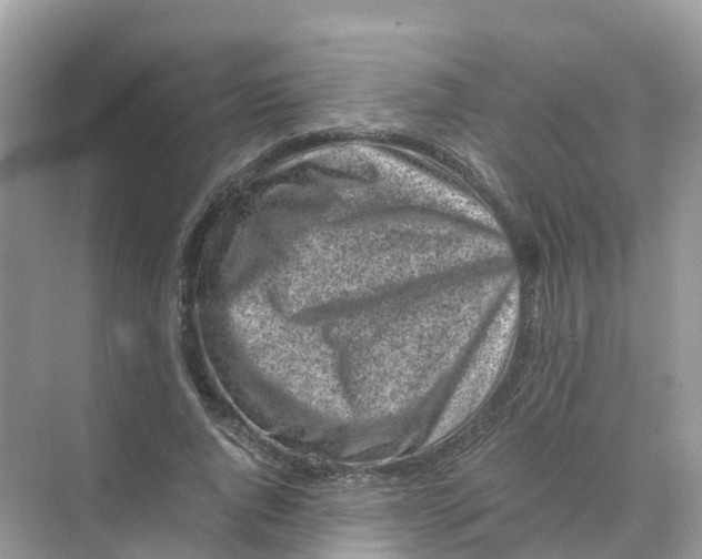 X0000070170736200606162055