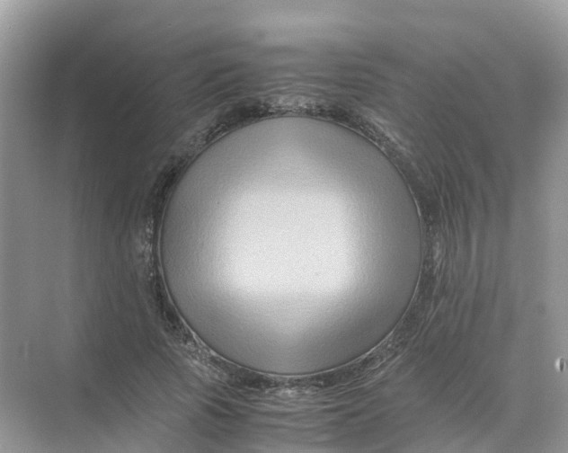 X0000070170737200606162055