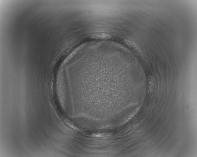 X0000070170739200606162055