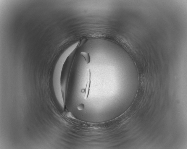 X0000070170741200606162055