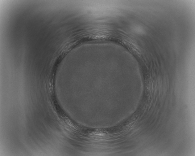 X0000070170743200606162055