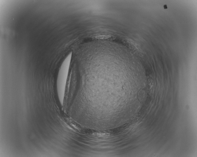 X0000070170745200606162055