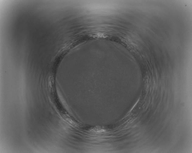 X0000070170747200606162055