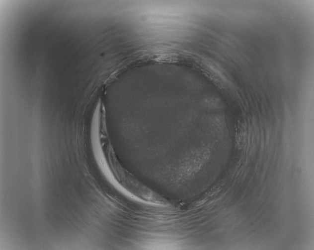 X0000070170748200606162055